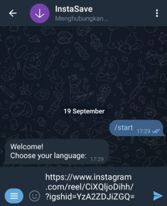 Bot InstaSave Telegram